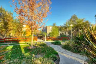 Photo #5: 223003073 Listing