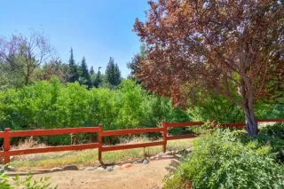 Photo #6: 223003073 Listing