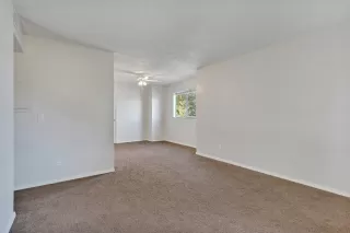 Photo #4: 223003748 Listing 