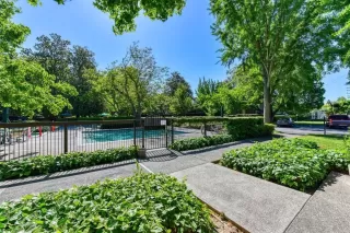 Photo #3: 223003773 Listing