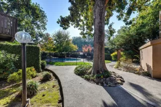 Photo #5: 223003773 Listing