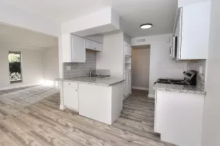 Photo #5: 223005219 Listing