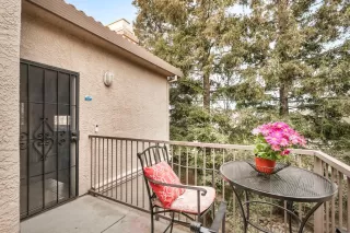 Photo #1: 223005837 Listing 