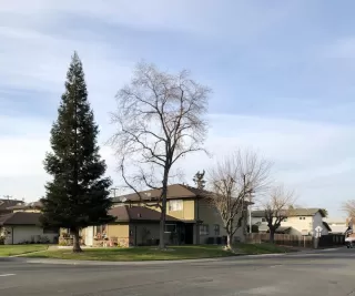 Photo #1: 223007008 Listing