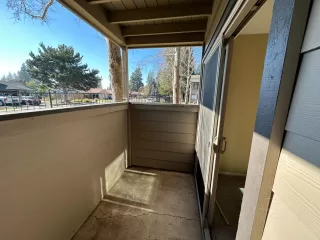 Photo #5: 223007082 Listing 