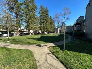 Photo #6: 223007082 Listing 