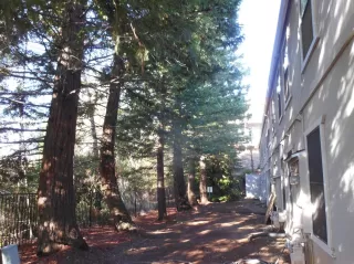 Photo #1: 223008364 Listing 