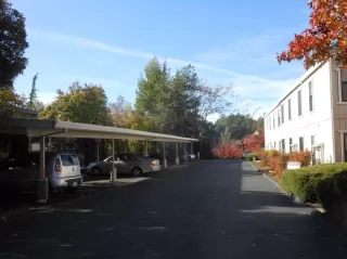 Photo #3: 223008364 Listing 