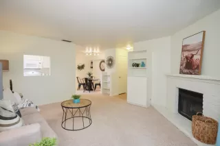 Photo #2: 223008559 Listing 