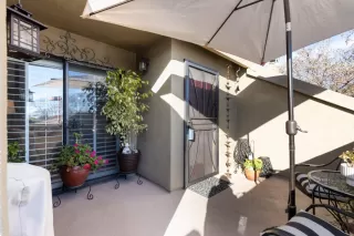 Photo #2: 223009091 Listing 