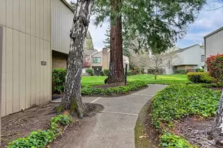 Photo #2: 223010673 Listing