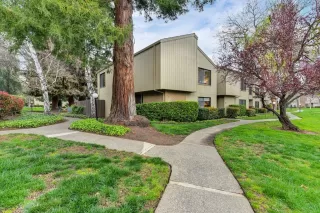 Photo #5: 223010673 Listing