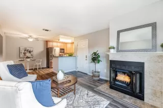 Photo #1: 223010731 Listing 