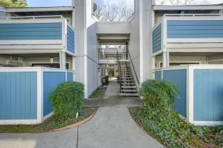 Photo #1: 223011275 Listing