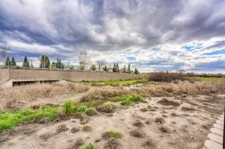 Photo #6: 223012317 Listing 