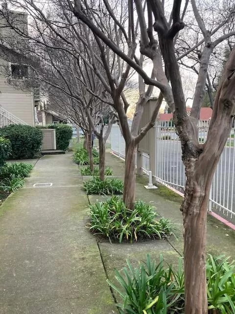 MLS: 223013512 Condo For Sale