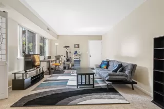 Photo #1: 223014270 Listing