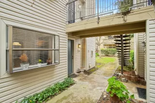 Photo #1: 223014633 Listing