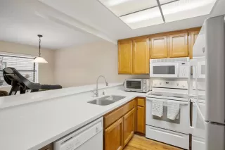 Photo #6: 223014633 Listing