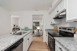 Photo #6: 223015367 Listing 