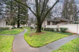 Photo #5: 223015559 Listing