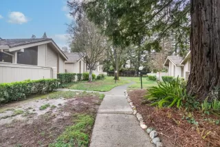 Photo #6: 223015559 Listing