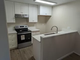 Photo #2: 223015578 Listing 