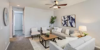 Photo #6: 223016150 Listing