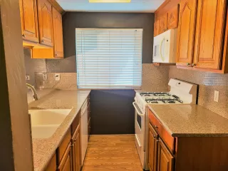 Photo #1: 223016701 Listing