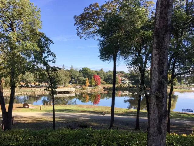 MLS: 223016726 Condo For Sale