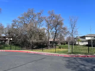 Photo #2: 223017112 Listing