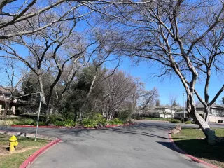 Photo #3: 223017112 Listing