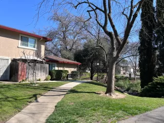 Photo #5: 223017112 Listing