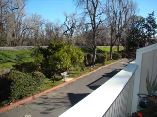 Photo #4: 223017433 Listing