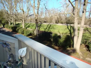 Photo #5: 223017433 Listing