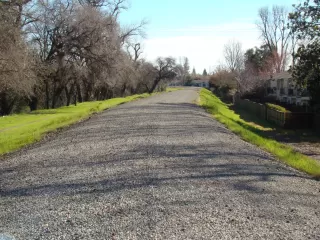 Photo #6: 223017433 Listing