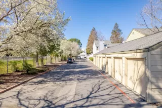 Photo #1: 223018134 Listing