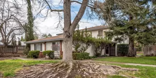 Photo #3: 223020342 Listing