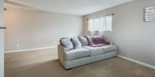 Photo #4: 223020342 Listing