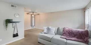 Photo #5: 223020342 Listing