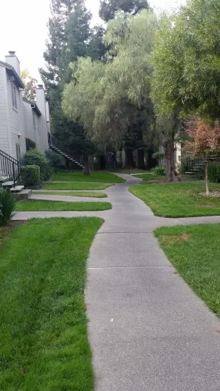 Photo #6: 223021060 Listing