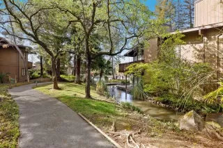 Photo #1: 223022511 Listing