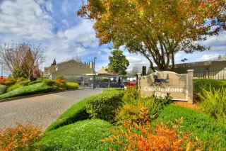 Photo #2: 223023368 Listing 