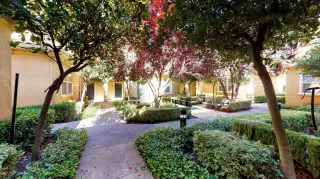 Photo #3: 223024319 Listing