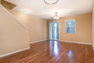 Photo #1: 223025565 Listing 