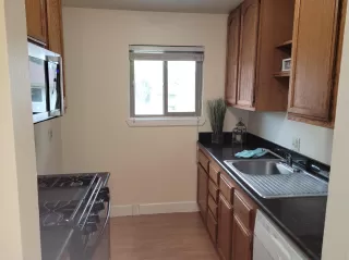 Photo #5: 223026044 Listing