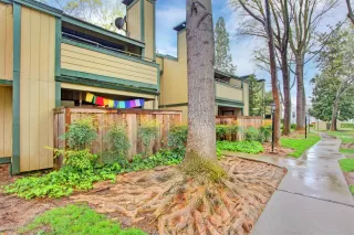 Photo #1: 223026131 Listing