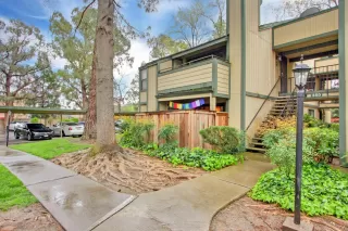 Photo #2: 223026131 Listing