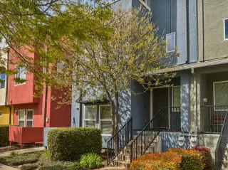 Photo #1: 223026309 Listing 