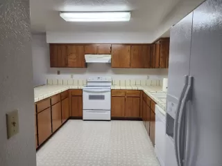 Photo #1: 223026782 Listing